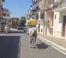 CARO BENZINA, IL CAVALLO COME SOLUZIONE ALTERNATIVA