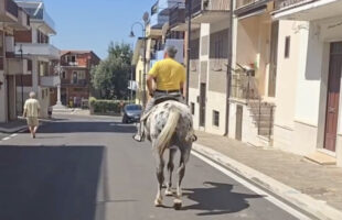 CARO BENZINA, IL CAVALLO COME SOLUZIONE ALTERNATIVA