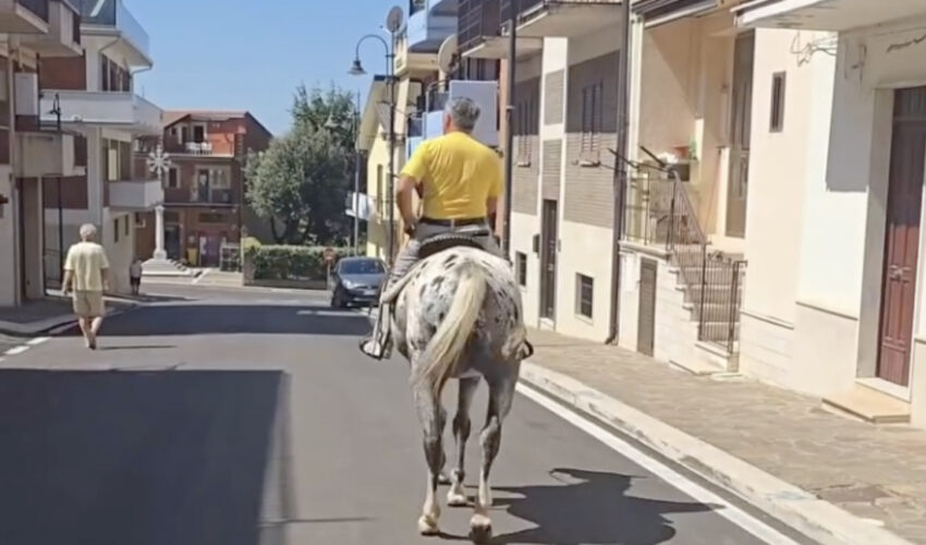 CARO BENZINA, IL CAVALLO COME SOLUZIONE ALTERNATIVA